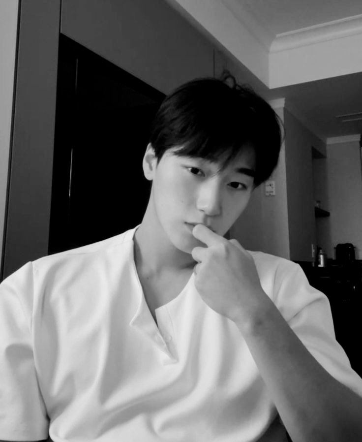 𝐊𝐀𝐈𝐑𝐎 (@kairoocirugiao) / Posts / X