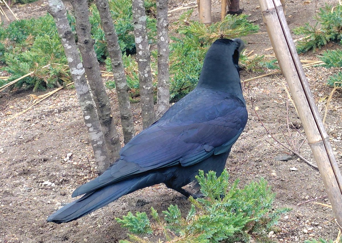 ๐ธ๐๐๐๐๐๐ tweet media