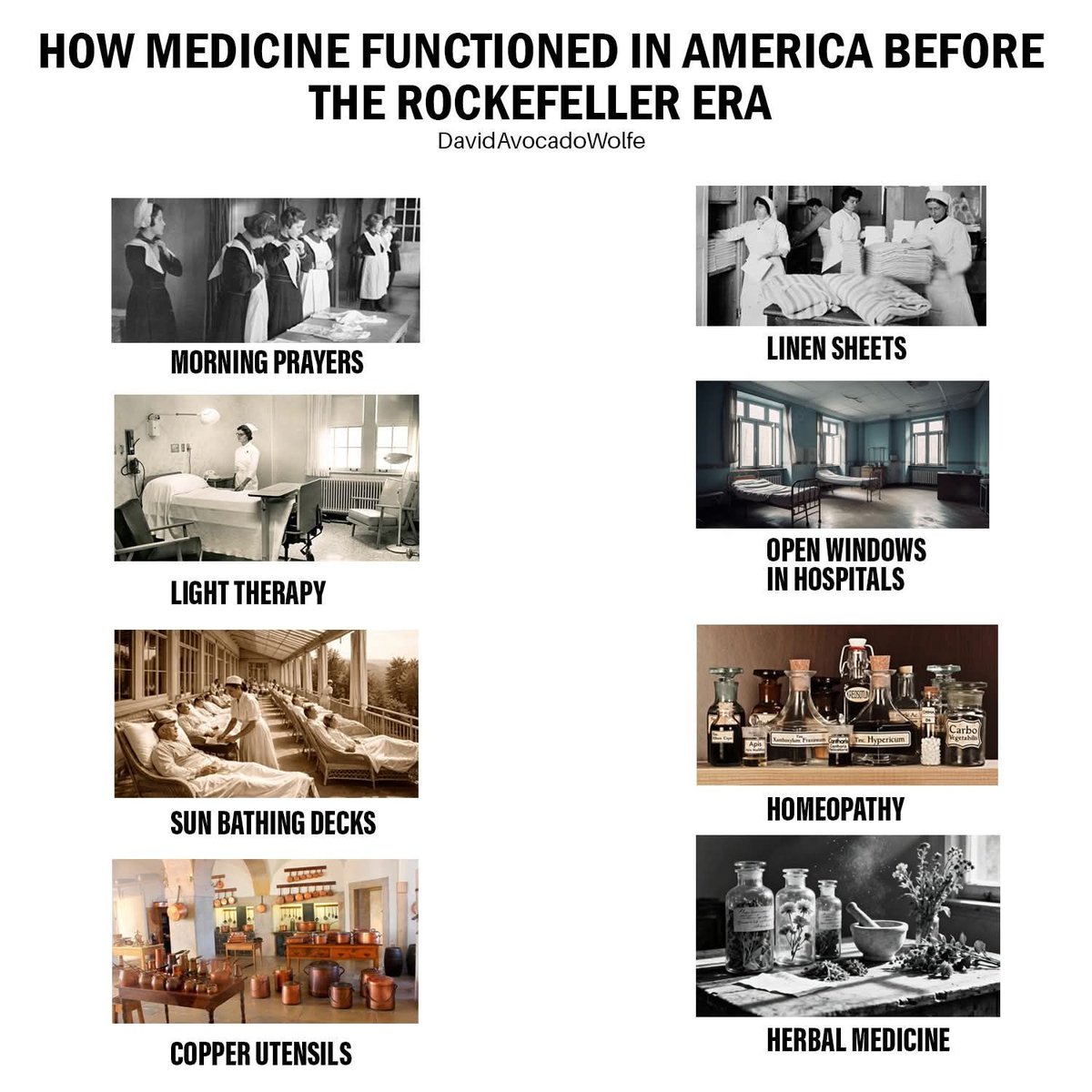 David Wolfe tweet media