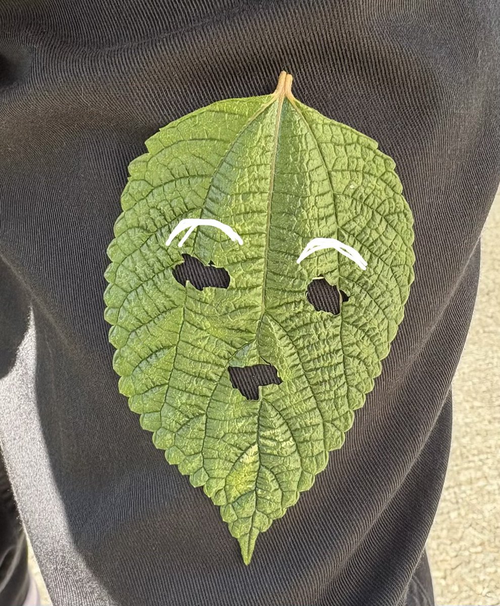 ミート tweet media