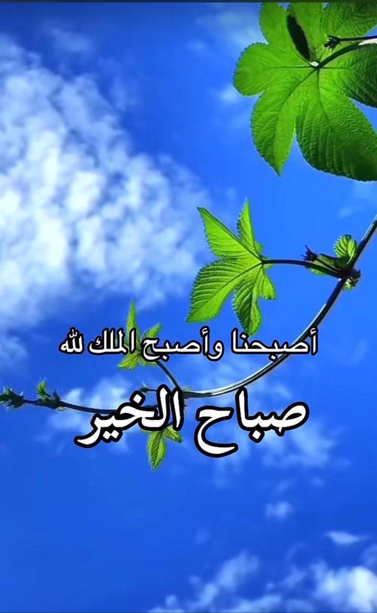 ضيف الشيباني tweet media