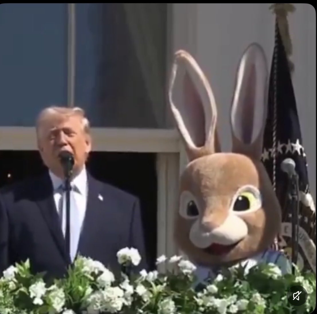 Max Abrahms tweet media