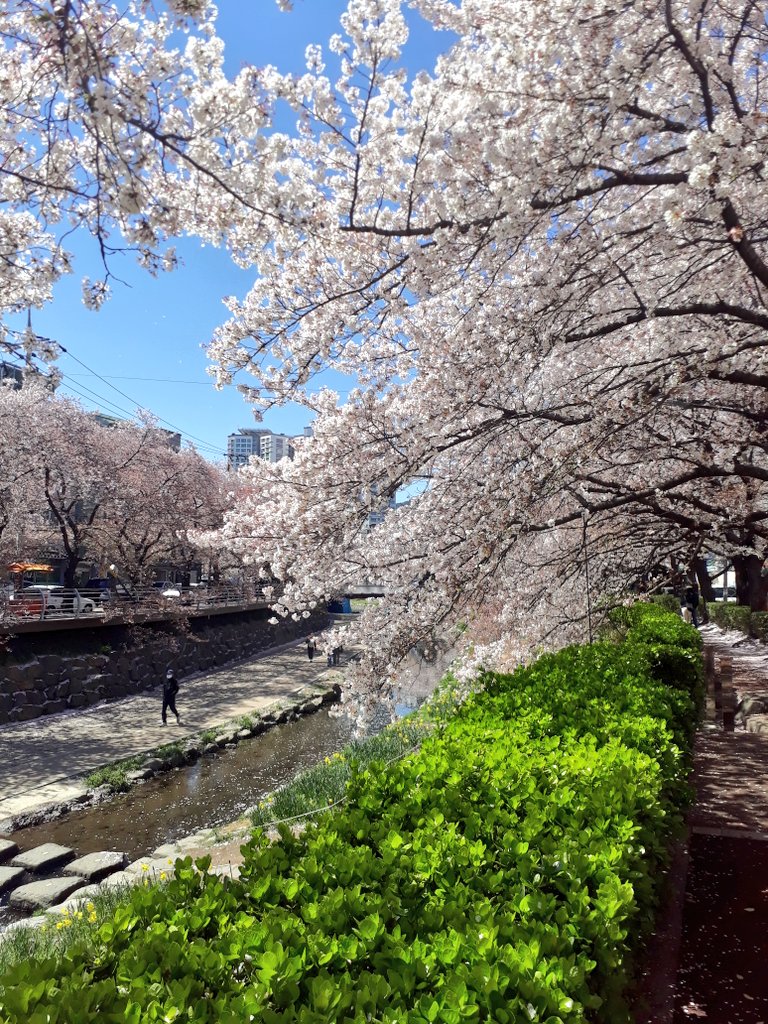 저성능길찾기 독륜 tweet media