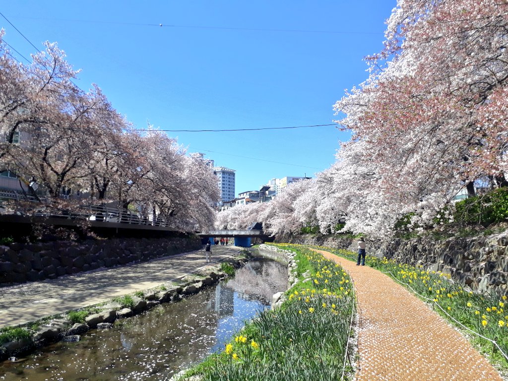 저성능길찾기 독륜 tweet media