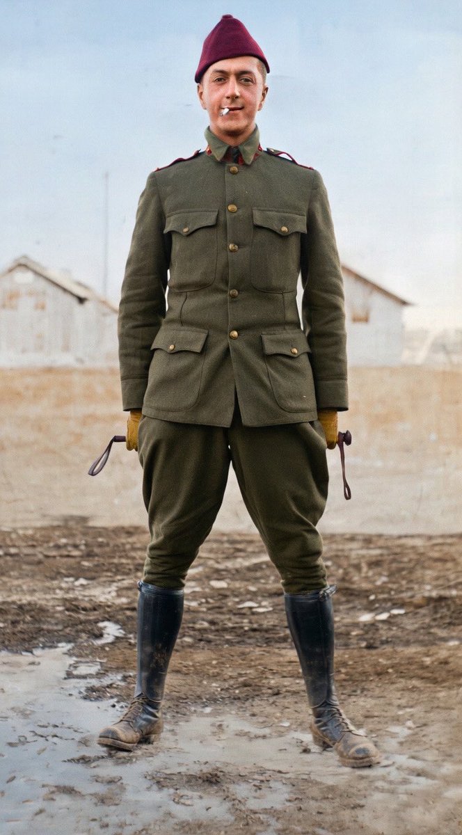 FinalBloodline tweet media