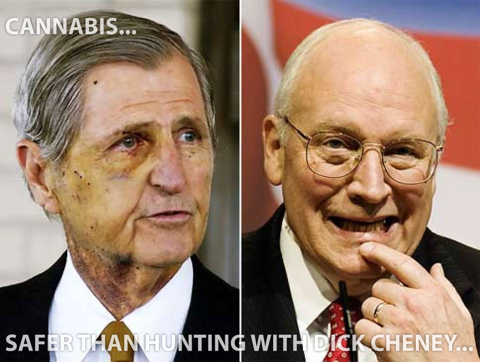 Debunk This™ tweet media