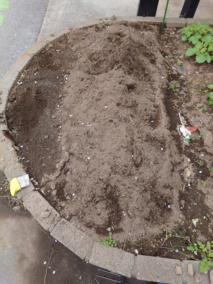 ぱーま tweet media