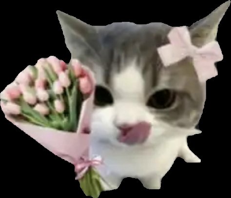 Orca Sailor tweet media