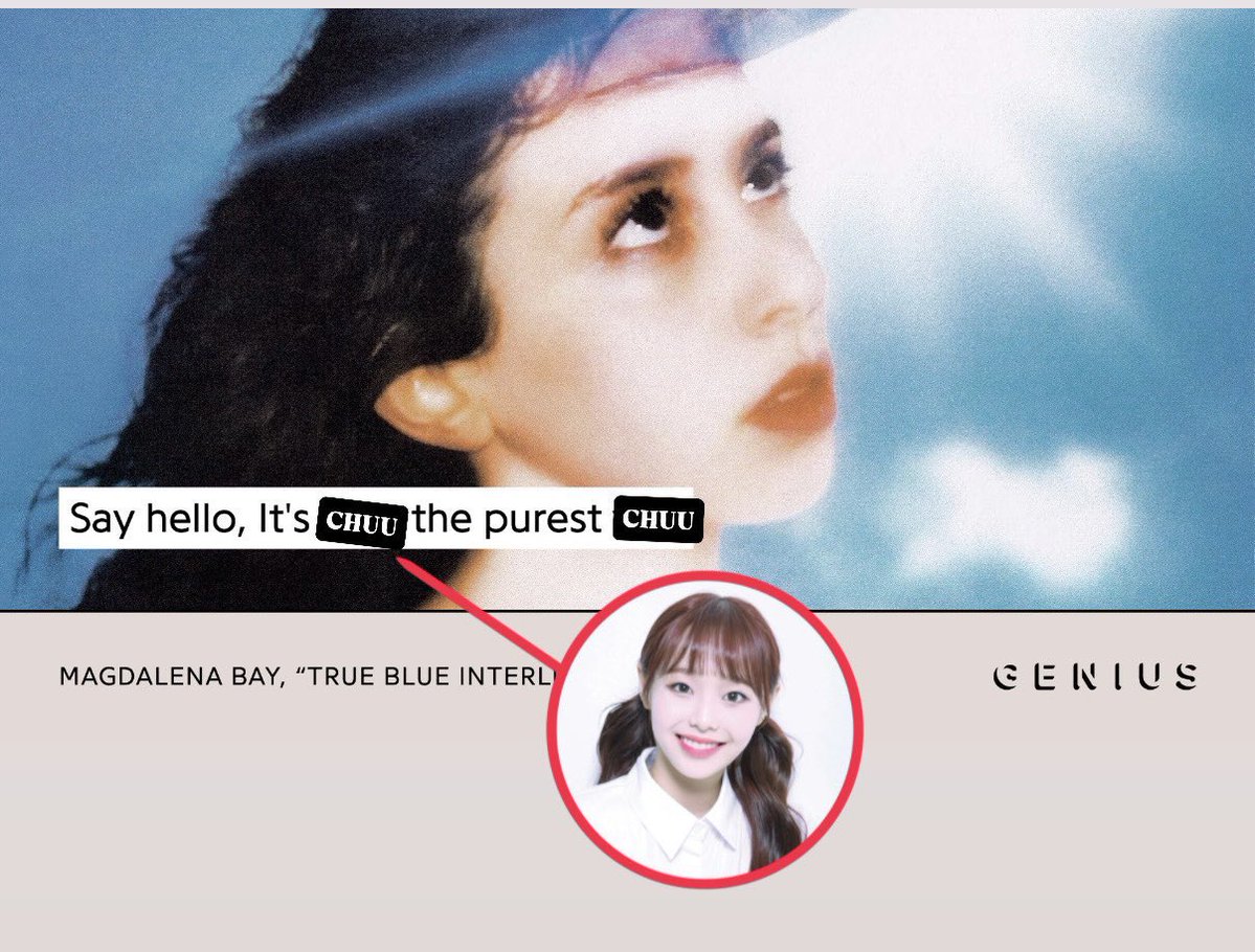 melon 🍉 tweet media