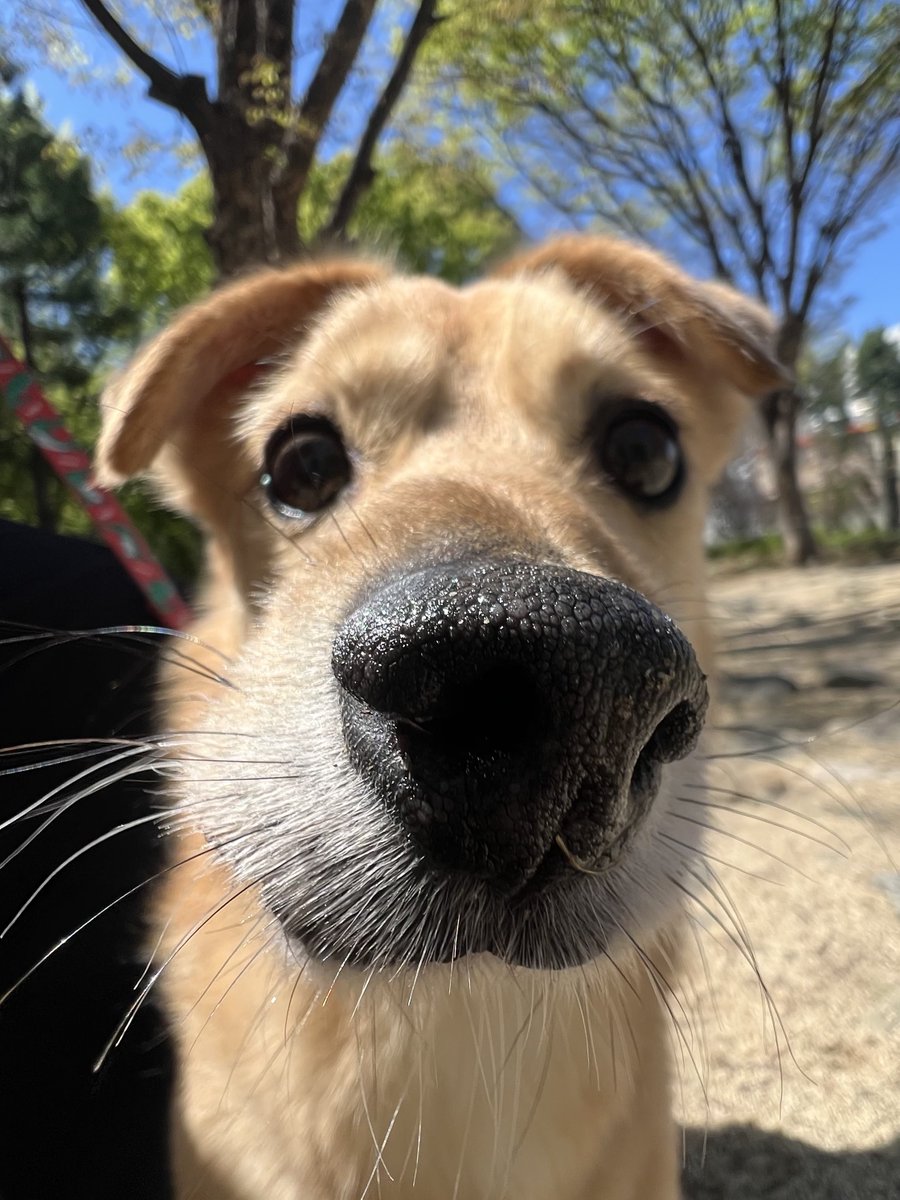 나팔봉 tweet media