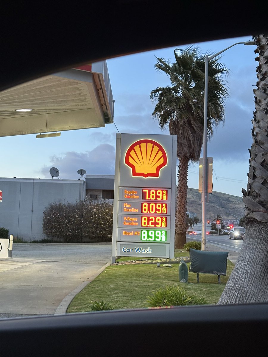 nina amiri tweet media