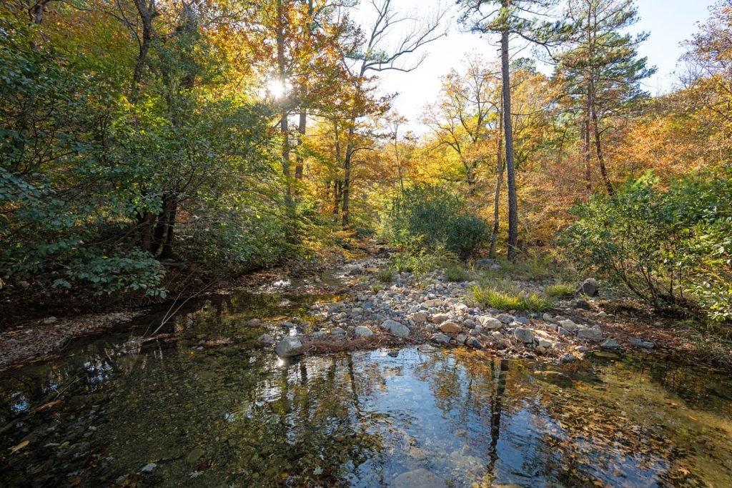 Charlie Kirkenau tweet media