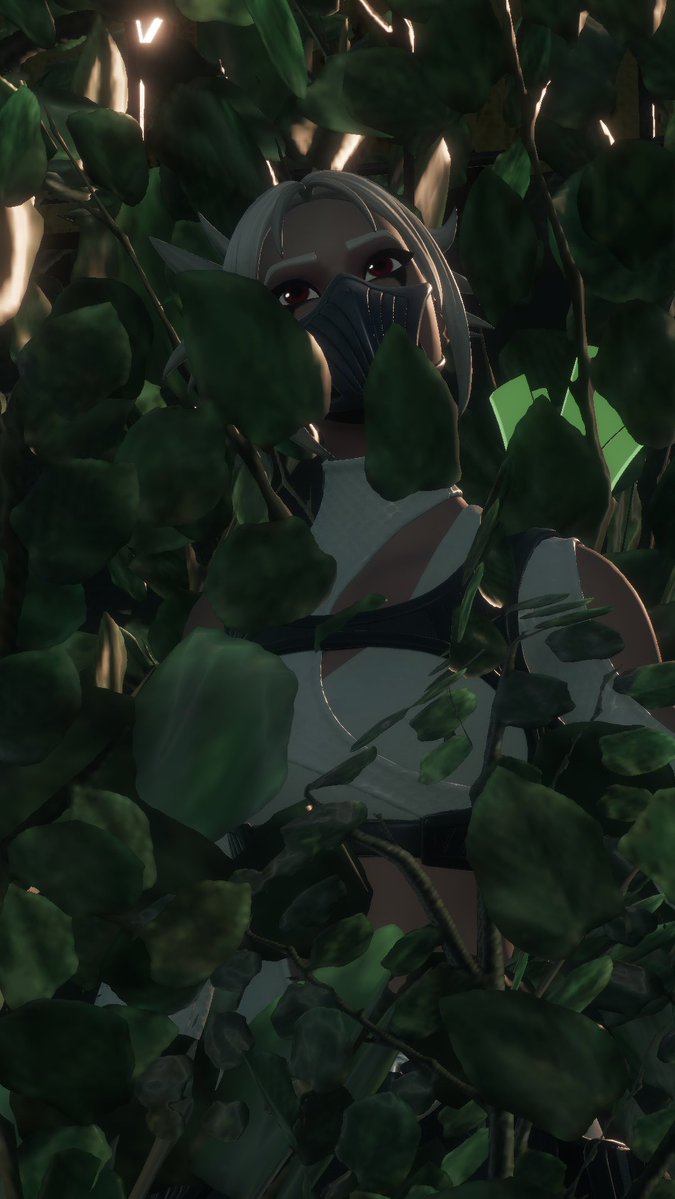 Dynamic Hush tweet media