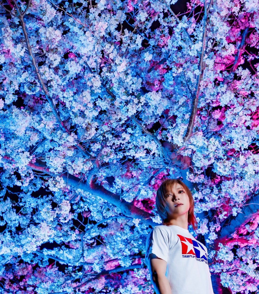 TOMOKA☆SASAGAWA tweet media