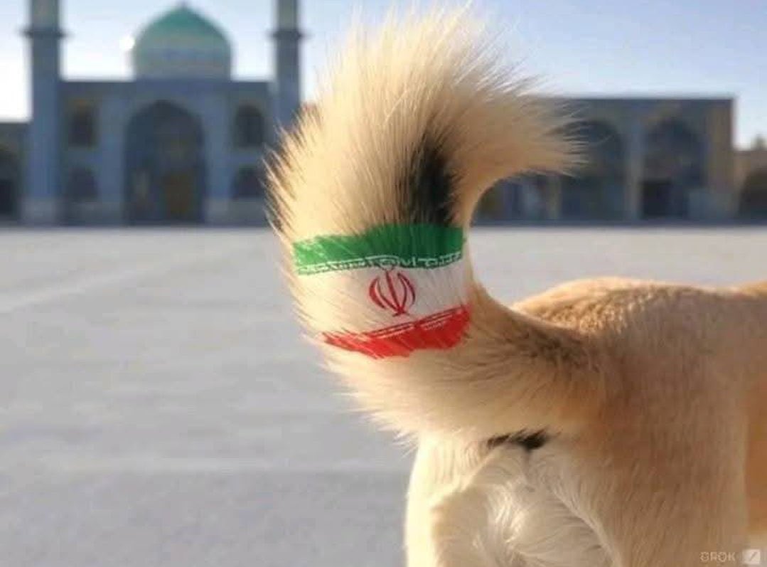 نظرة بعمق tweet media