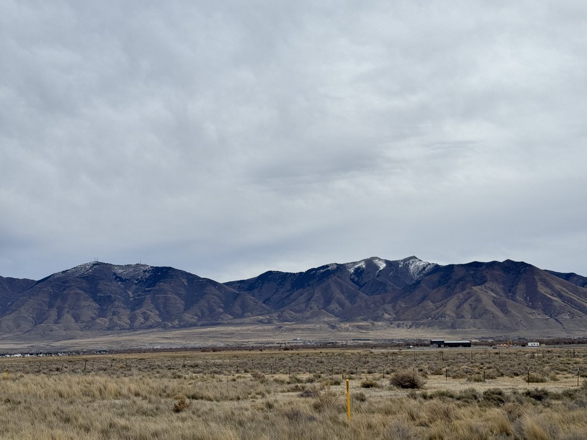 KarbonAtom🇩🇰 tweet media