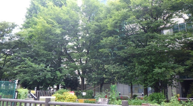 mawarunn's tweet photo. るん♪るん♪

【小学校３～６年生】参加者募集♪
『2026年度ビオトープ調査隊』
台東区精華公園ビオトープで自然体験のプログラムだよ！

くわしくはコチラ♪

https://t.co/OSzQ2bh4LI

＃自然体験＃環境教育 https://t.co/QuQBgDcPCf
