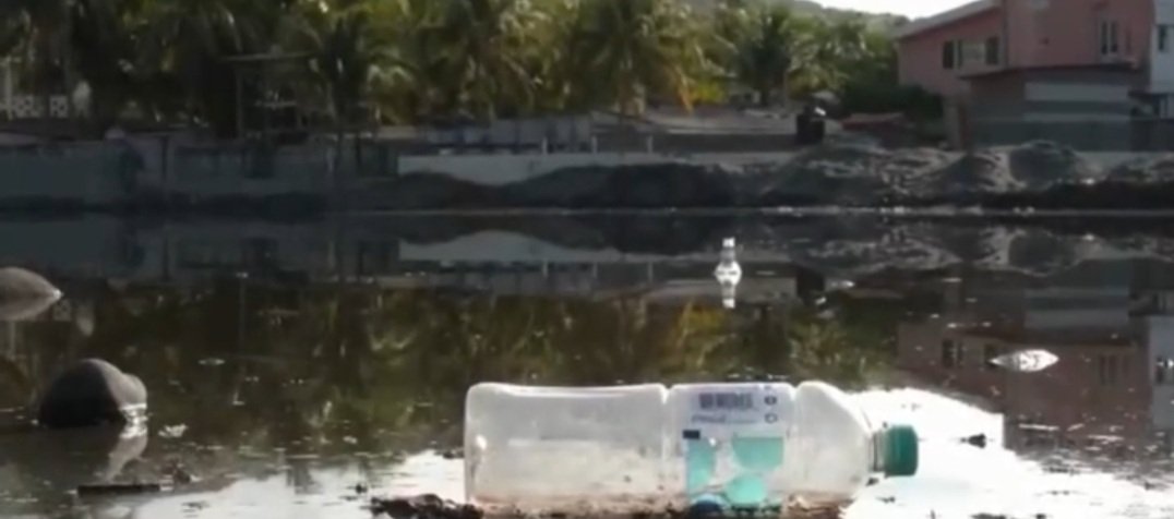 Alerta Noticias tweet media