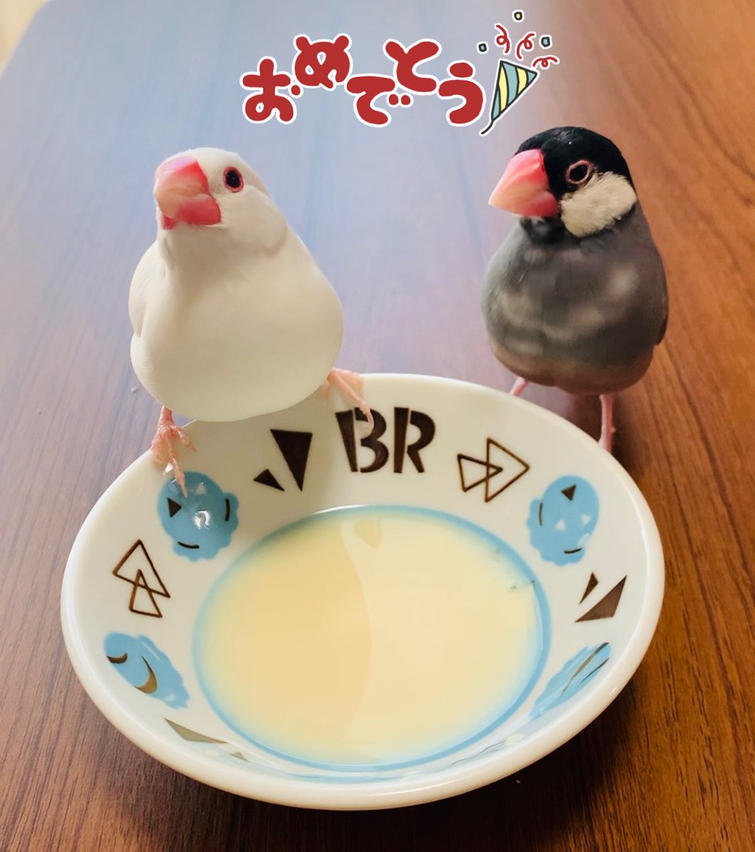 ぱる(*'▽'*)るい&いぶうぶ💕 tweet media
