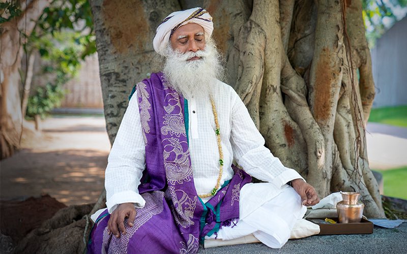 Sadhguru tweet media