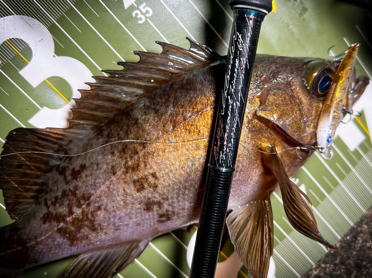 アキマ tweet media