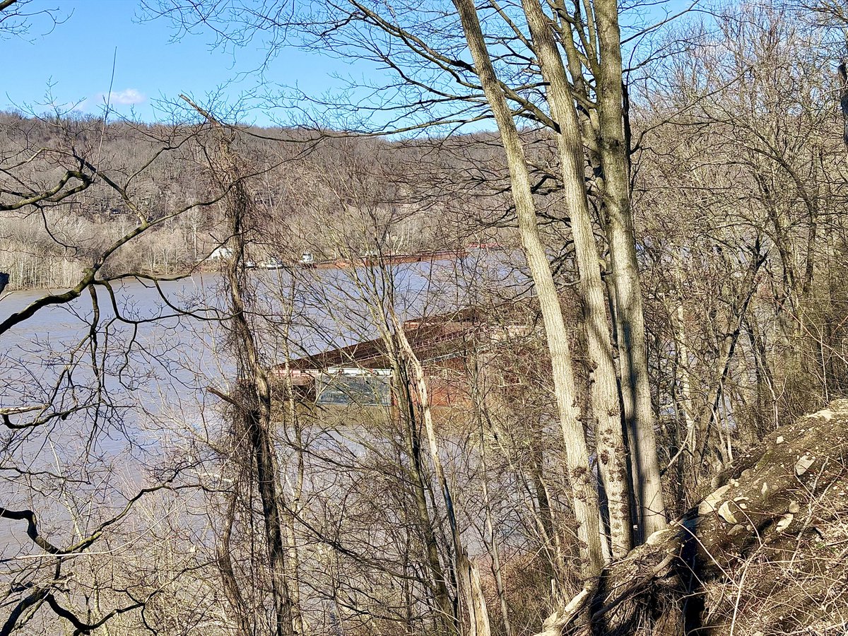 What is with the goats?