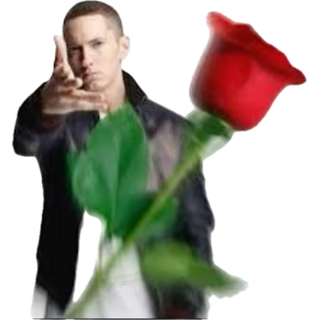 ∶ 𝗌𝗅𝗂𝗇𝗄 𑱢𝜚 tweet media