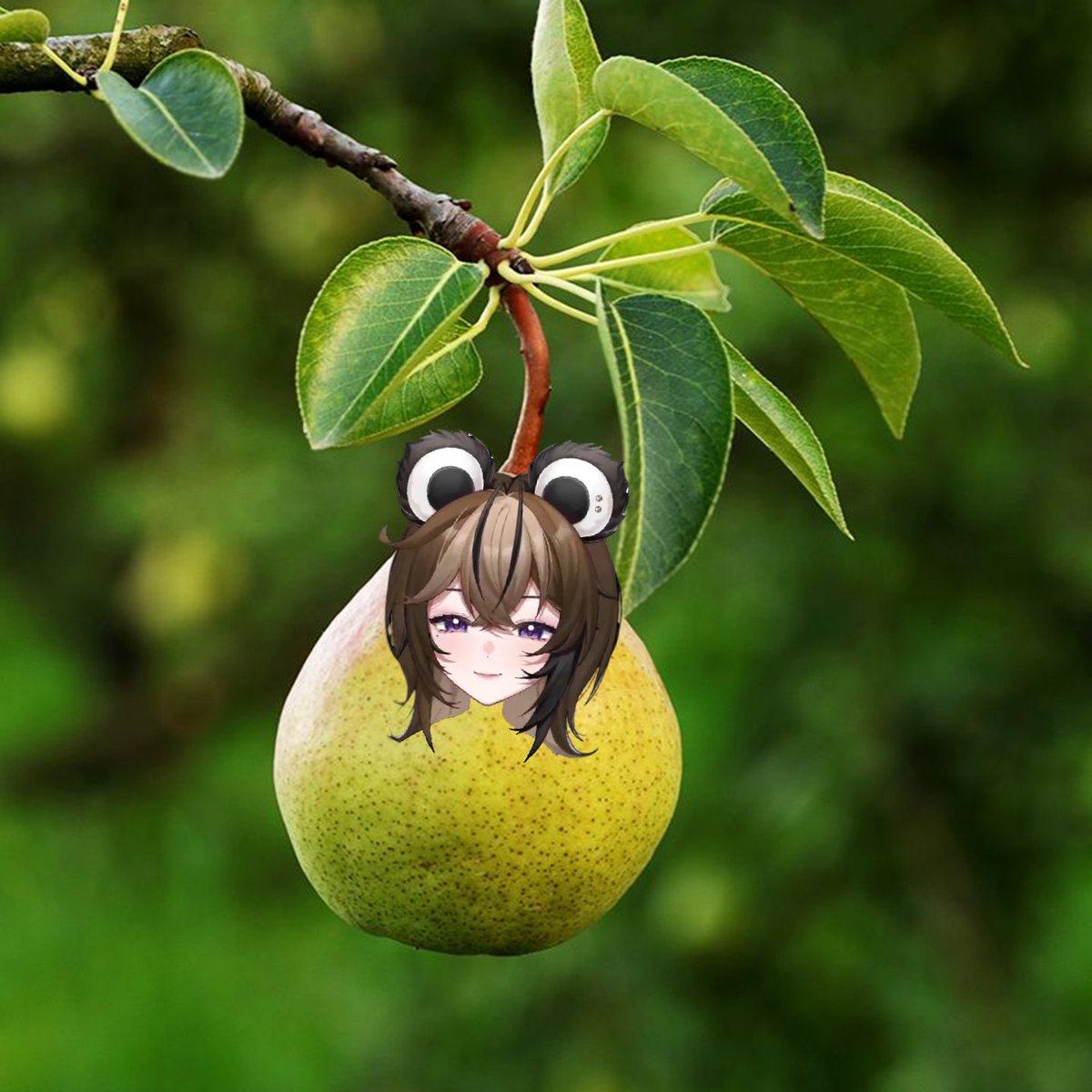 Trea Shore tweet media