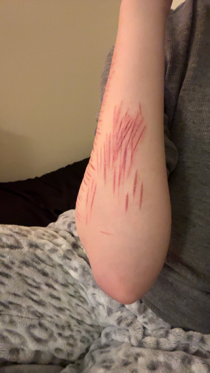 ݁ᛪ༙ Cameron tweet media