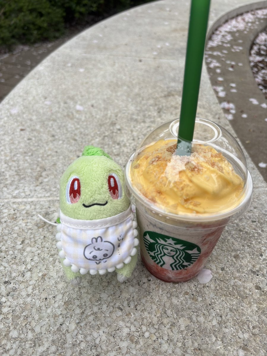 🌱🍓 tweet media