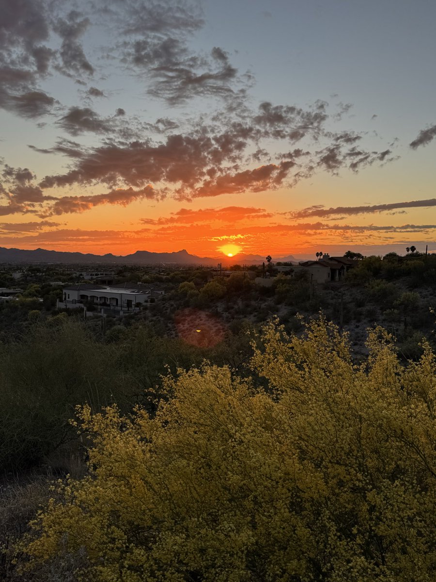 Alex Olshonsky tweet media