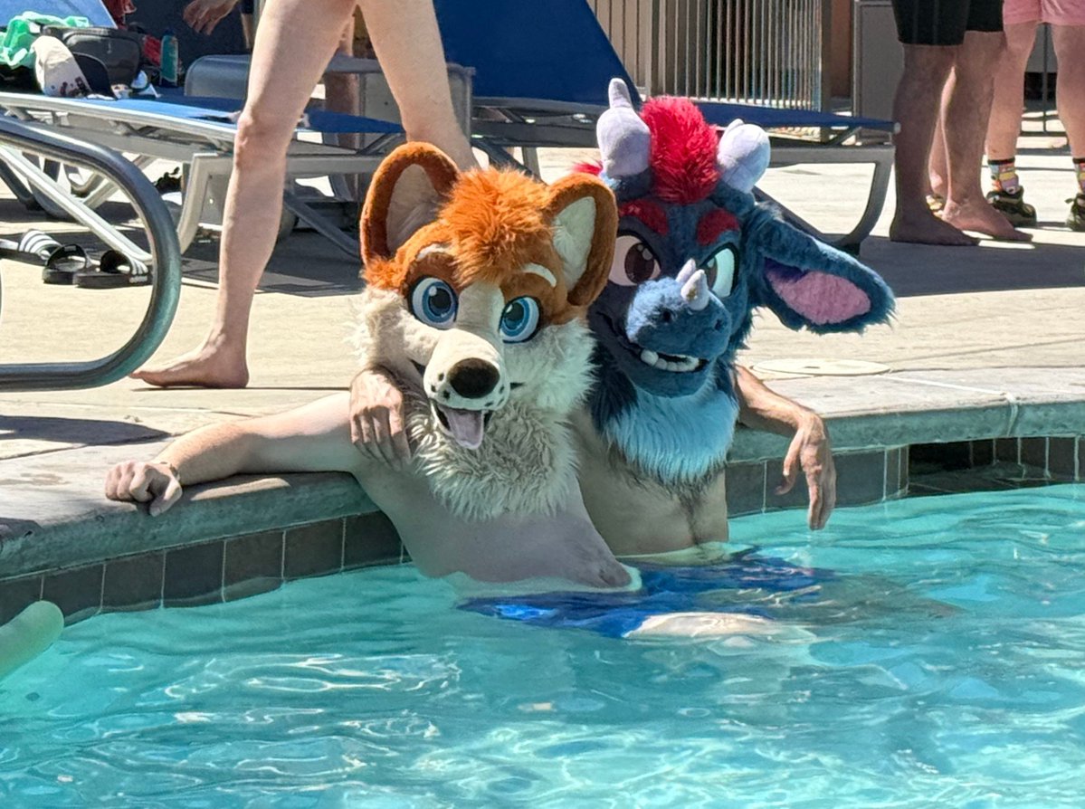 Toffee Corg tweet media