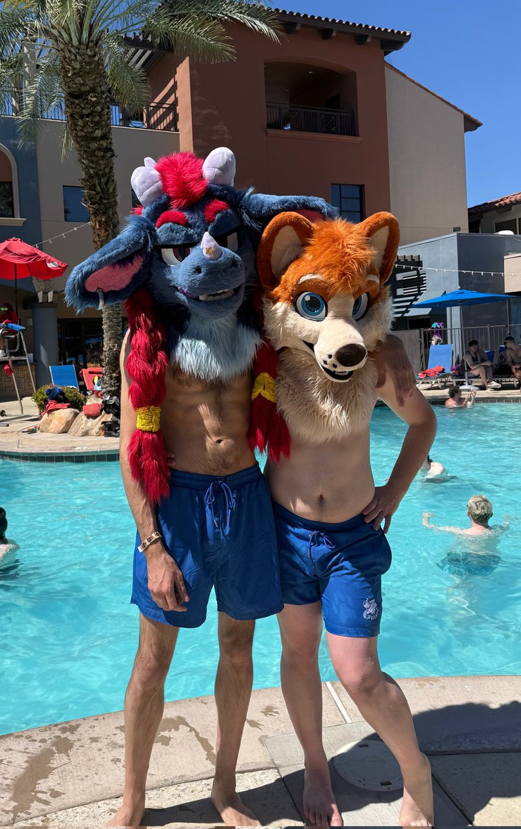 Toffee Corg tweet media