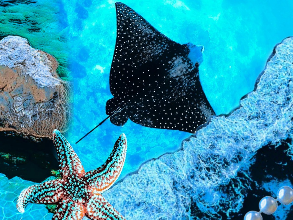 ᅟ𝓐𝐋𝕐𝗡ᅟ꩜'𝑺𝔈𝔸𝙽ᅟ tweet media