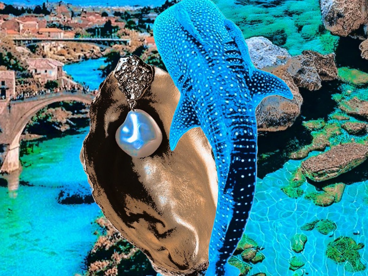 ᅟ𝓐𝐋𝕐𝗡ᅟ꩜'𝑺𝔈𝔸𝙽ᅟ tweet media