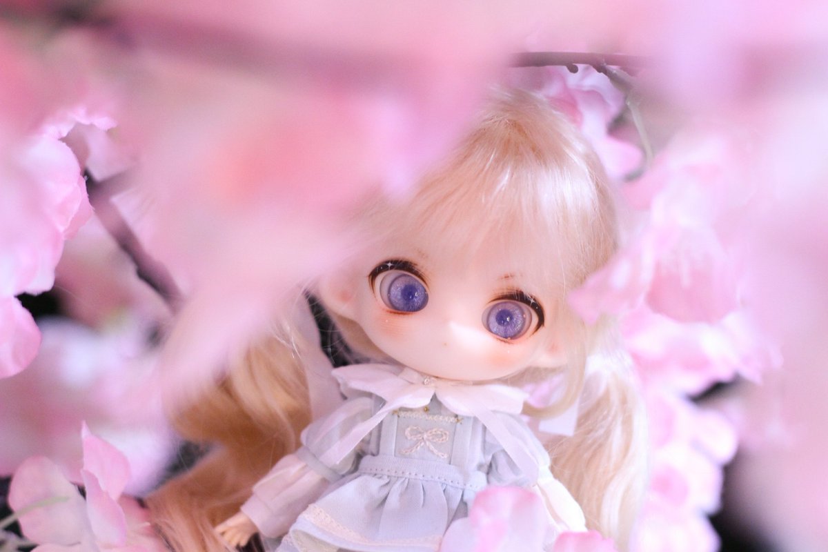 아홉🌸 tweet media