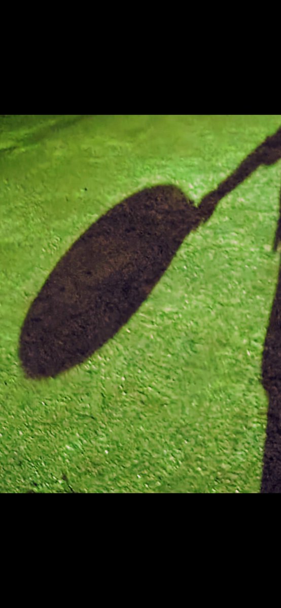 エールウィンド tweet media