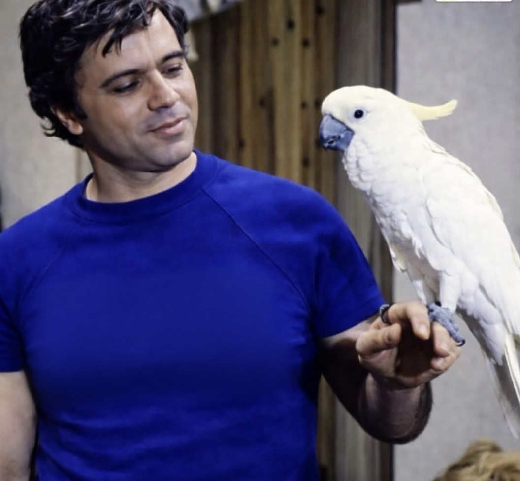 Denise 🇺🇸 tweet media