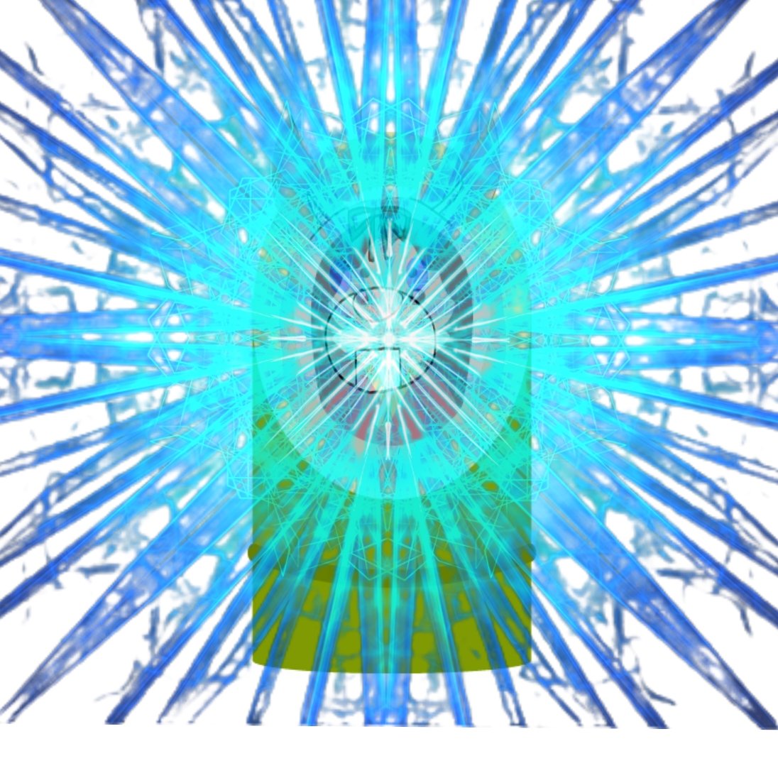 メジロ犬のリュイス tweet media