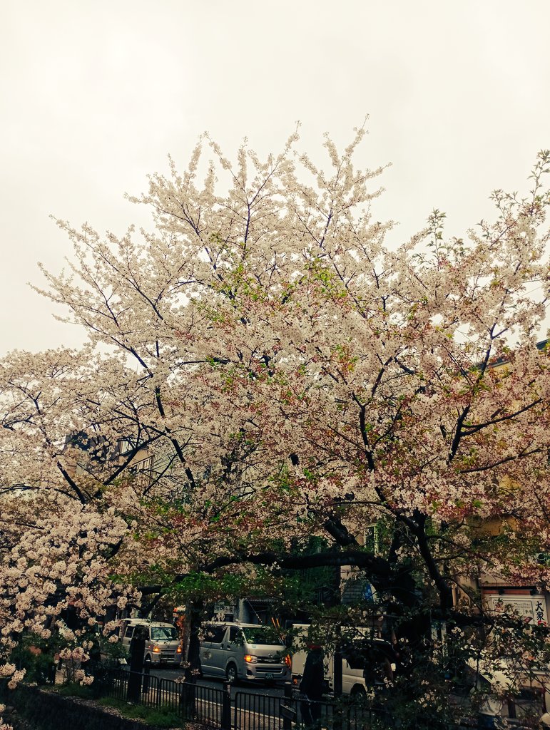 Captain Carlos tweet media