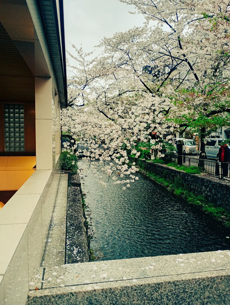 Captain Carlos tweet media