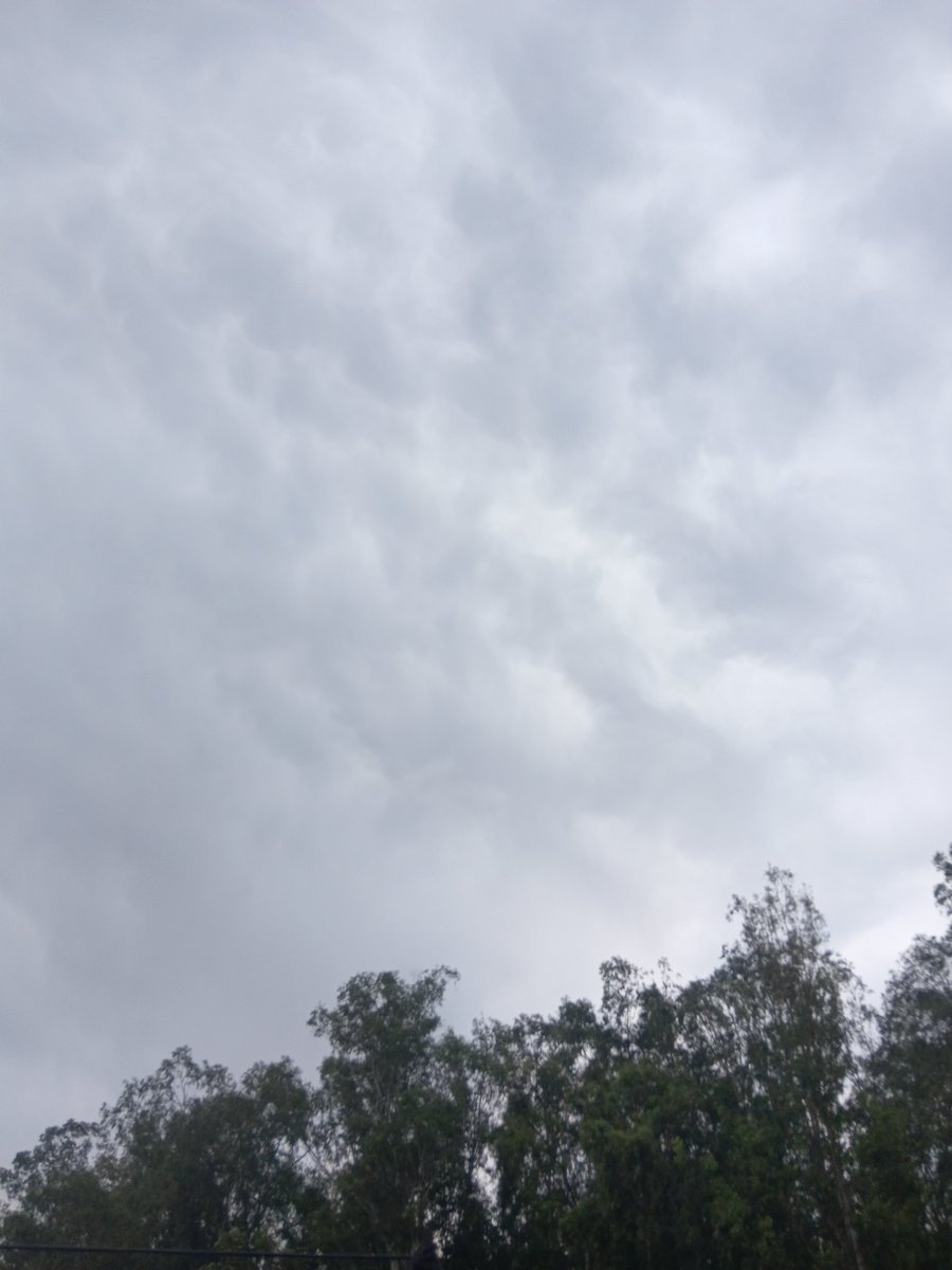 Crown👑🎊♥️🎵 tweet media