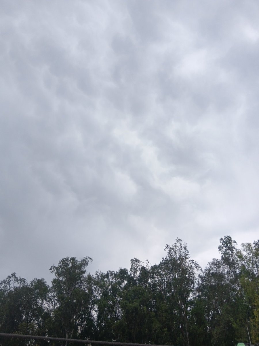 Crown👑🎊♥️🎵 tweet media