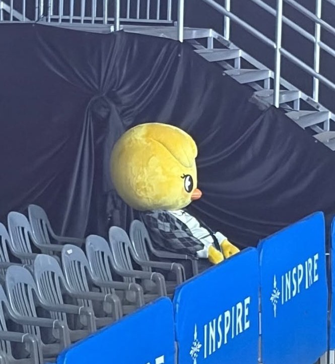 M&D 🎱 tweet media