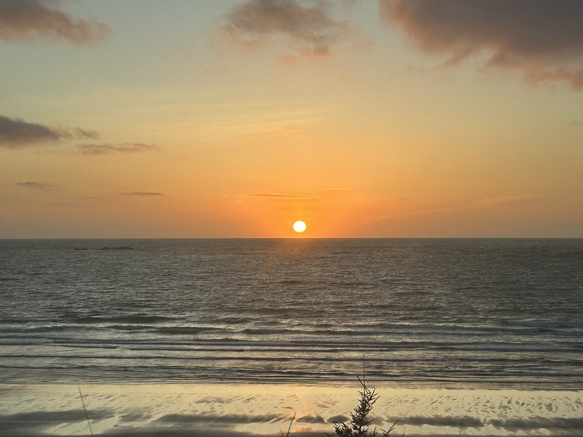 ⚡️Gordon ⚡️ tweet media