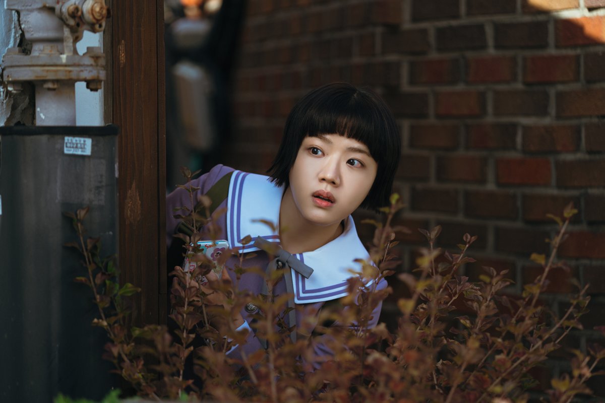 Korepoใณใฌใ tweet media