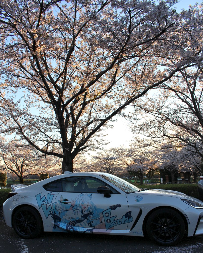 #これを見た人は愛車の背景が桜の画像を貼れ