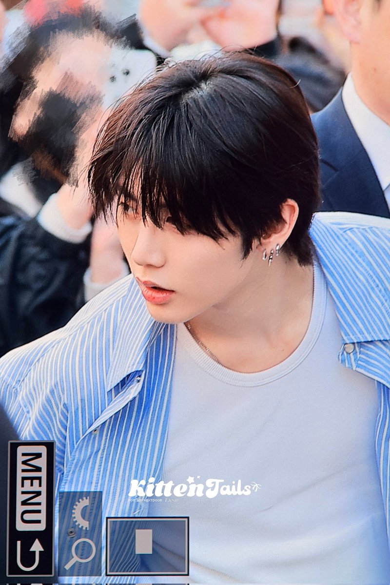 kittentails tweet media