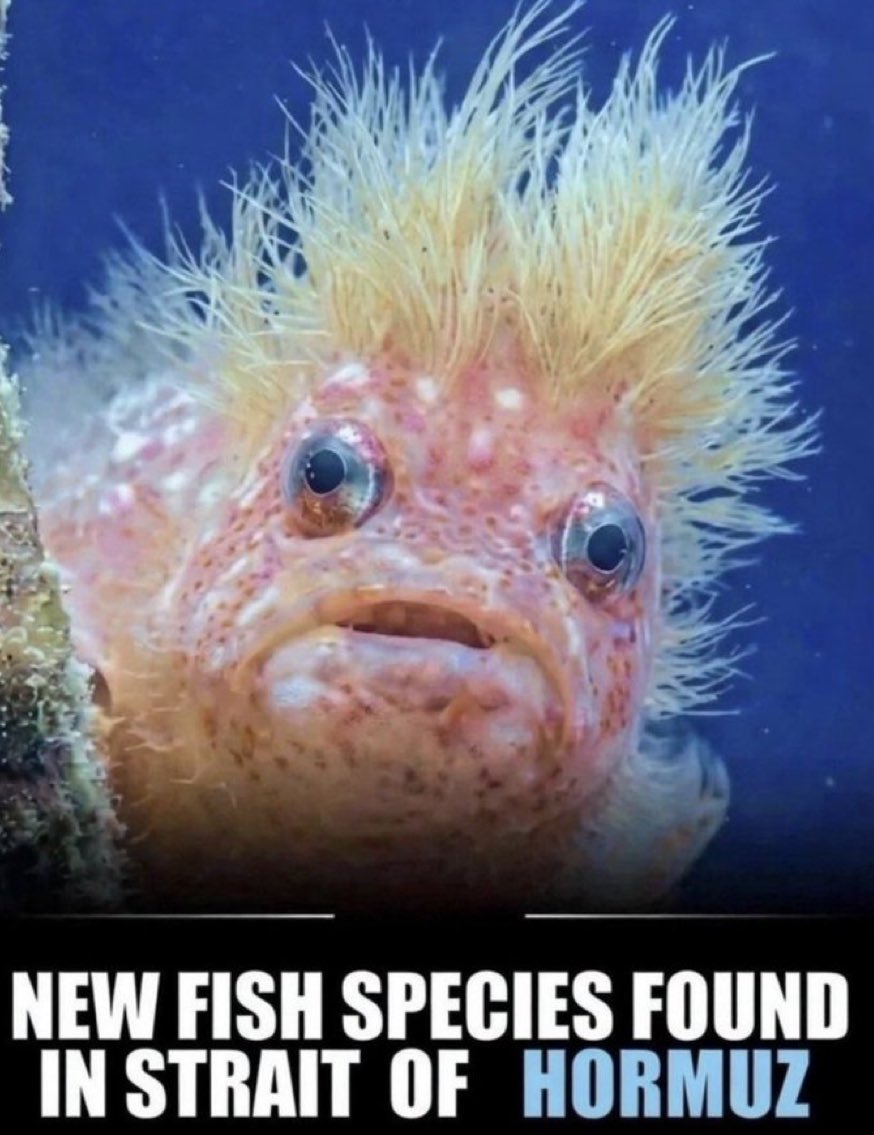 Sara Rose 🇺🇸🌹 tweet media