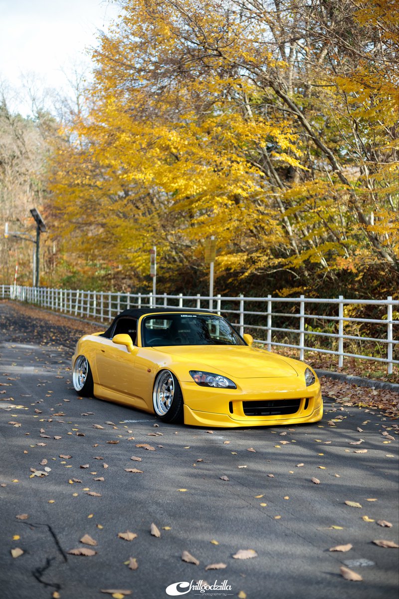 Yushi-Matsui tweet media